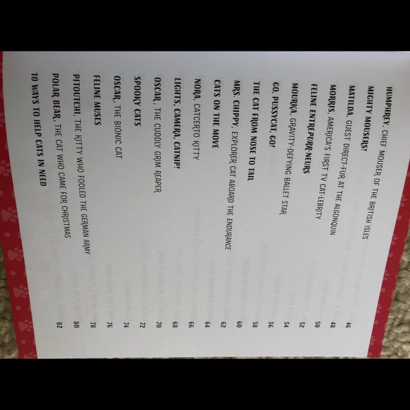 NWT cat earrings AND 30 true tales of courageous cats book! - Picture 14 of 14